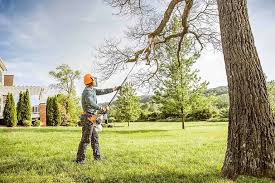 How Our Tree Care Process Works  in  Monument Hills, CA