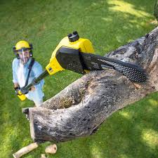 Best Lawn Mowing  in Monument Hills, CA