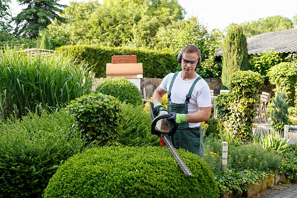 Best Aeration Services  in Monument Hills, CA